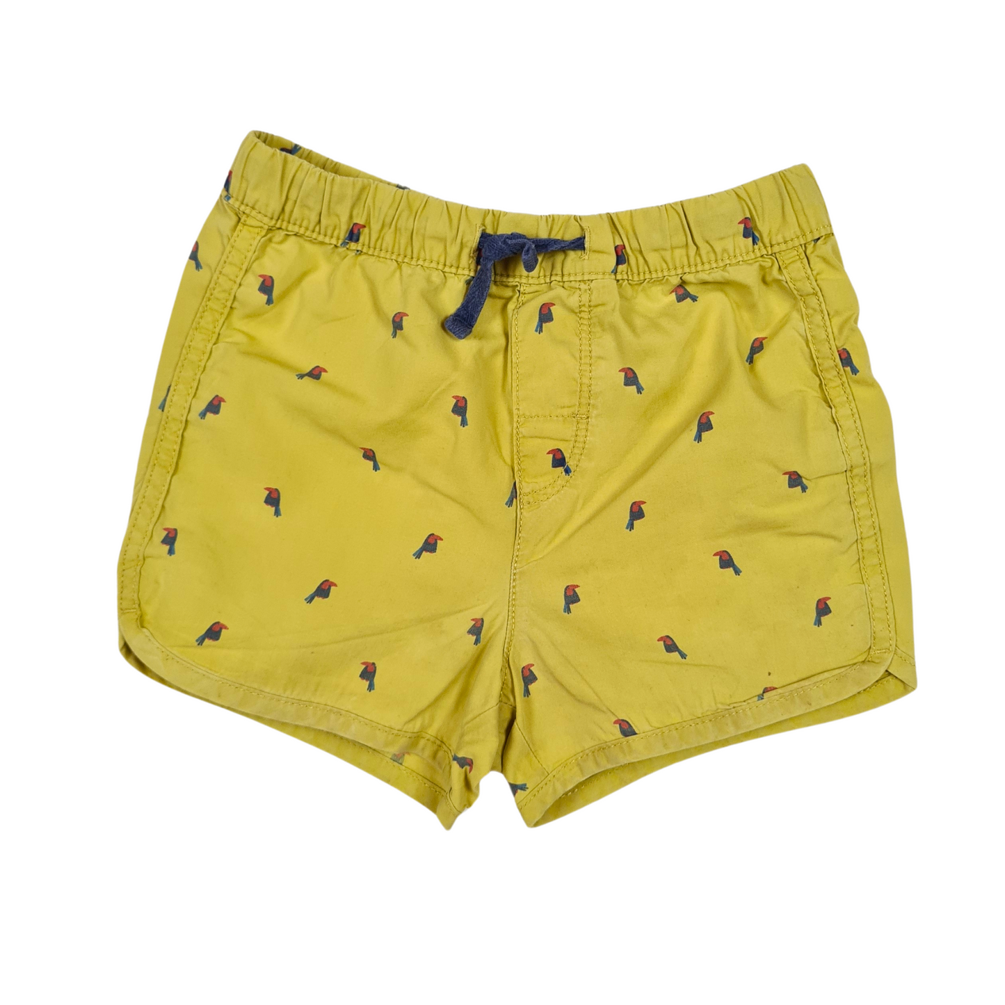 Light cotton sports shorts with toucan print