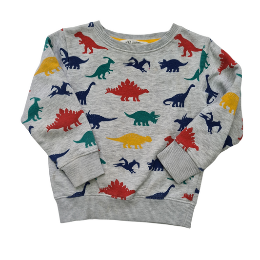 Dinosaur Sweatshirt