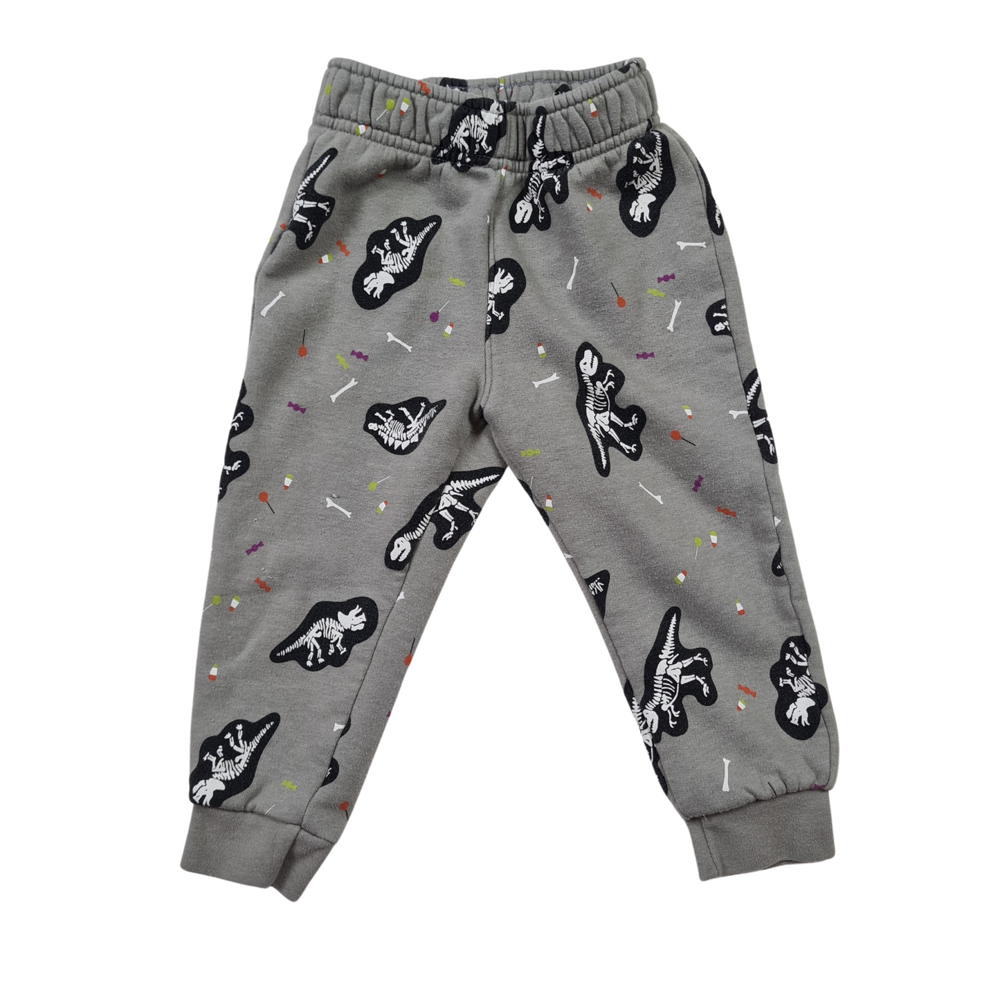 Dinosaur Excavation Joggers