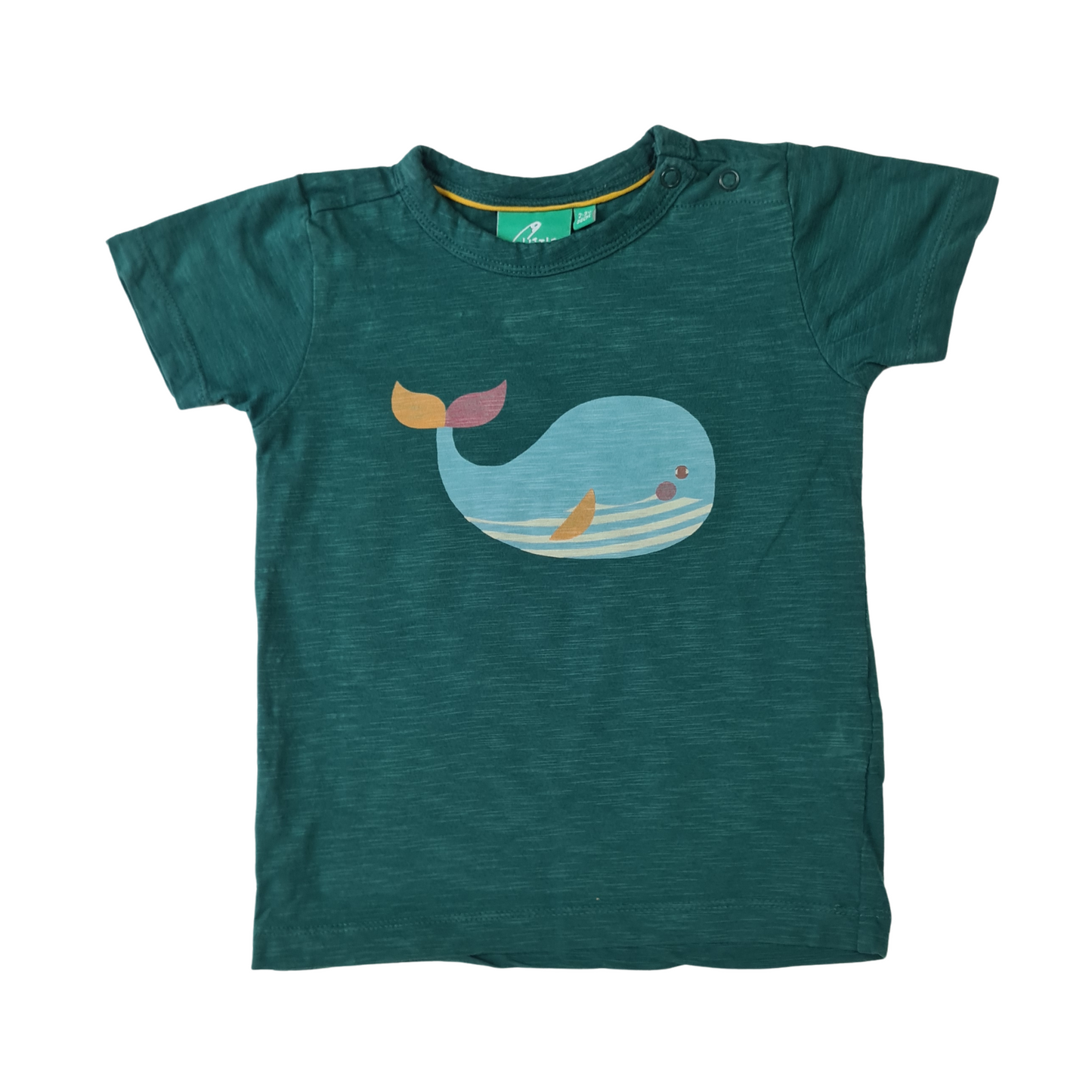 Whale Print T-Shirt