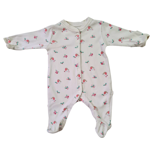 Robin Print Christmas Sleepsuit