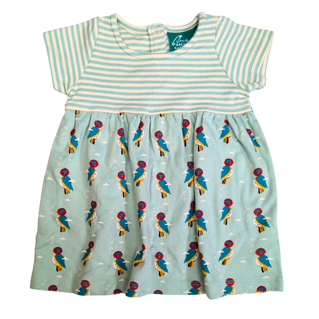 Parrot Stripped dress