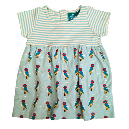 Parrot Stripped dress