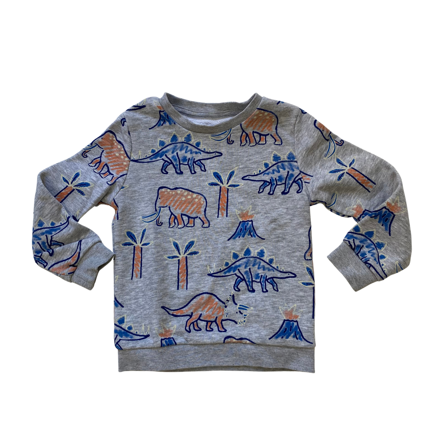 Dinosaur Sweatshirt