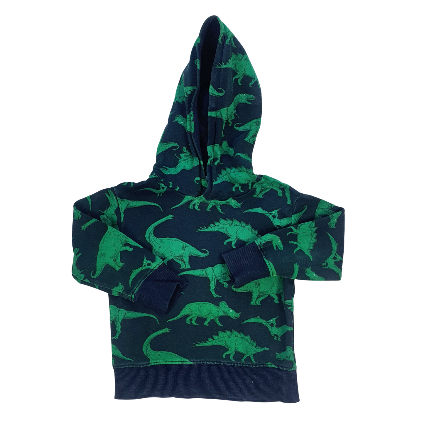 Dinosaur Print Hoody